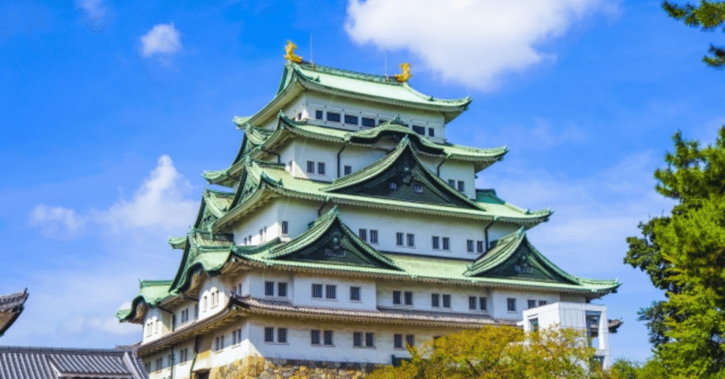 癒しと楽しさの融合✨おススメ観光スポット３選