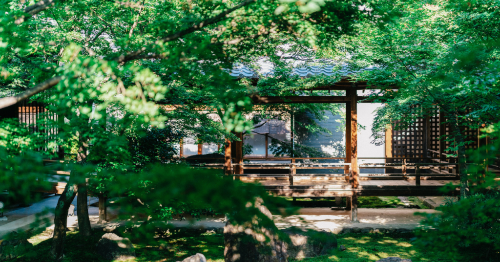 混雑の心配なし👍のんびりリラックスできる「穴場」寺院